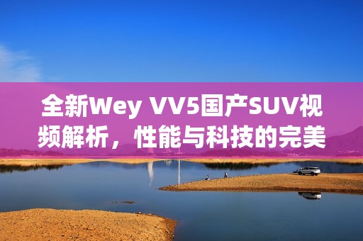 全新Wey VV5国产SUV视频解析，性能与科技的完美结合