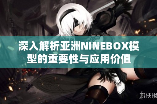 深入解析亚洲NINEBOX模型的重要性与应用价值