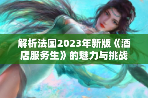 解析法国2023年新版《酒店服务生》的魅力与挑战