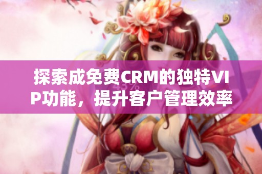 探索成免费CRM的独特VIP功能，提升客户管理效率