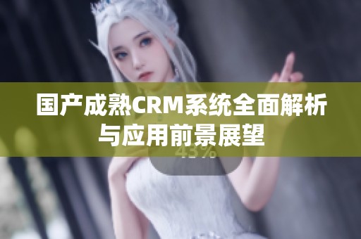 国产成熟CRM系统全面解析与应用前景展望