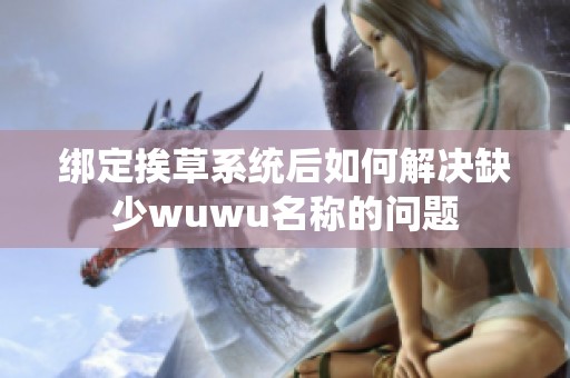 绑定挨草系统后如何解决缺少wuwu名称的问题