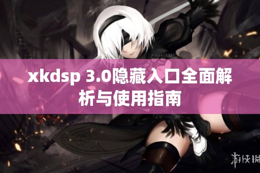 xkdsp 3.0隐藏入口全面解析与使用指南