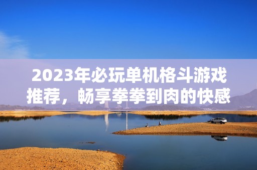 2023年必玩单机格斗游戏推荐，畅享拳拳到肉的快感