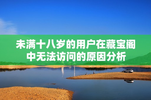 未满十八岁的用户在藏宝阁中无法访问的原因分析