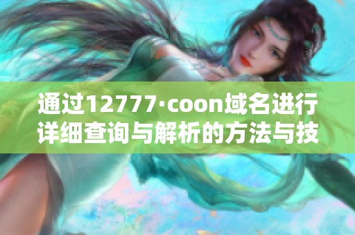 通过12777·coon域名进行详细查询与解析的方法与技巧