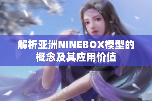 解析亚洲NINEBOX模型的概念及其应用价值