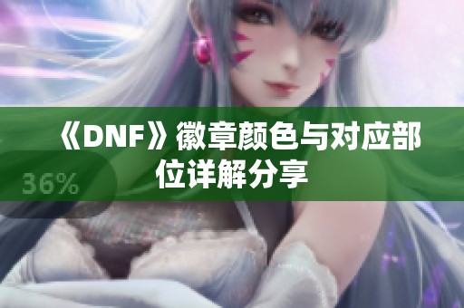 《DNF》徽章颜色与对应部位详解分享