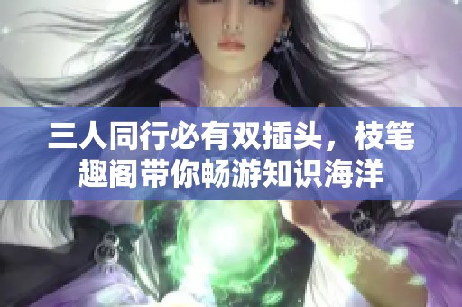 三人同行必有双插头，枝笔趣阁带你畅游知识海洋