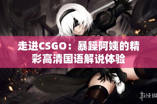 走进CSGO：暴躁阿姨的精彩高清国语解说体验