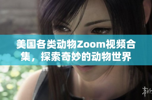 美国各类动物Zoom视频合集，探索奇妙的动物世界