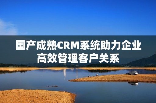 国产成熟CRM系统助力企业高效管理客户关系