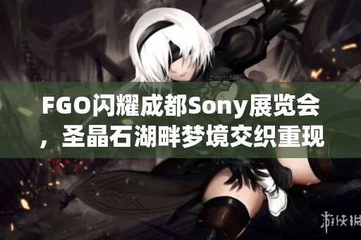 FGO闪耀成都Sony展览会，圣晶石湖畔梦境交织重现