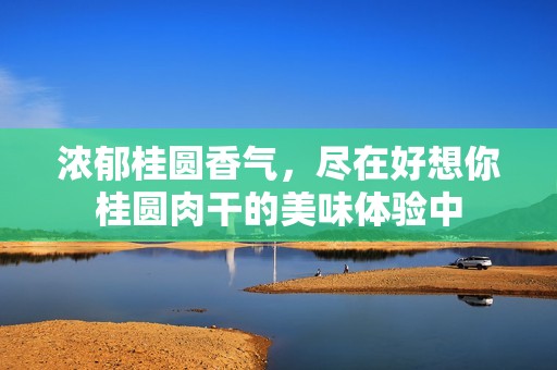 浓郁桂圆香气，尽在好想你桂圆肉干的美味体验中