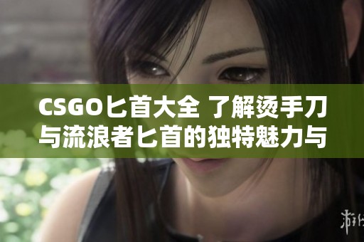 CSGO匕首大全 了解烫手刀与流浪者匕首的独特魅力与涂装设计