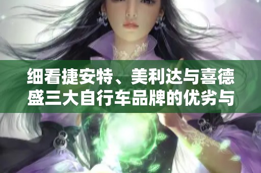 细看捷安特、美利达与喜德盛三大自行车品牌的优劣与特点