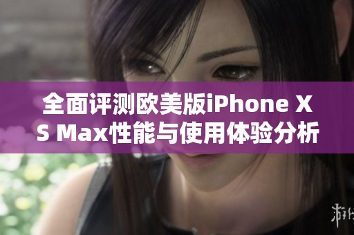 全面评测欧美版iPhone XS Max性能与使用体验分析