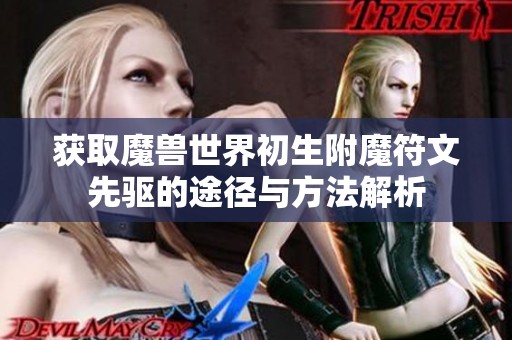 获取魔兽世界初生附魔符文先驱的途径与方法解析