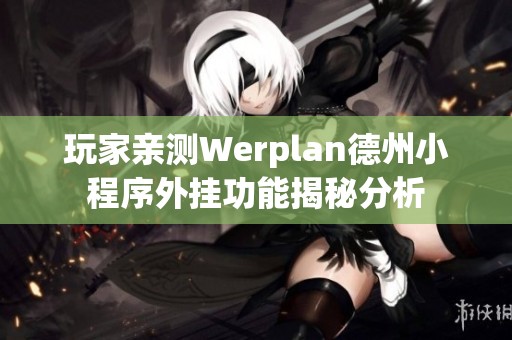 玩家亲测Werplan德州小程序外挂功能揭秘分析