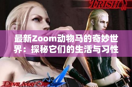 最新Zoom动物马的奇妙世界：探秘它们的生活与习性