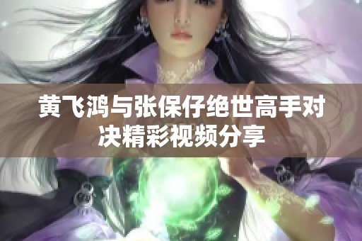 黄飞鸿与张保仔绝世高手对决精彩视频分享