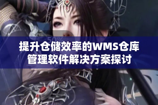 提升仓储效率的WMS仓库管理软件解决方案探讨