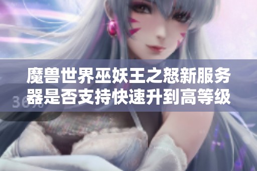 魔兽世界巫妖王之怒新服务器是否支持快速升到高等级