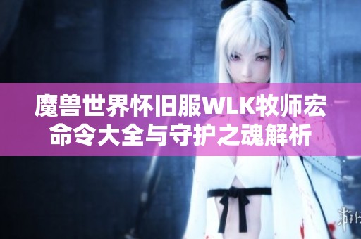 魔兽世界怀旧服WLK牧师宏命令大全与守护之魂解析