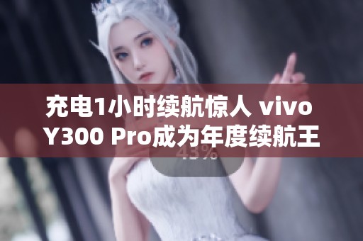 充电1小时续航惊人 vivo Y300 Pro成为年度续航王者