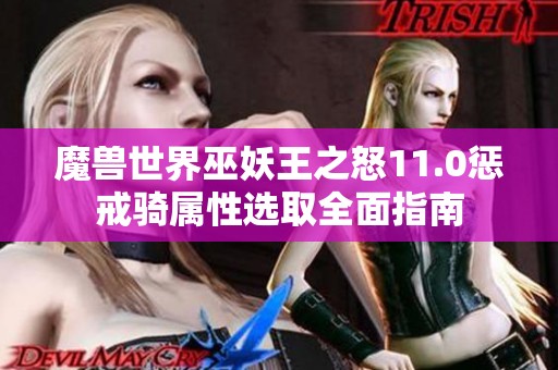 魔兽世界巫妖王之怒11.0惩戒骑属性选取全面指南