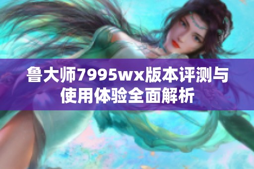 鲁大师7995wx版本评测与使用体验全面解析