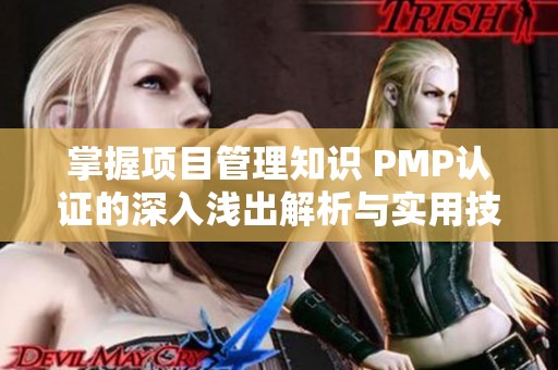 掌握项目管理知识 PMP认证的深入浅出解析与实用技巧