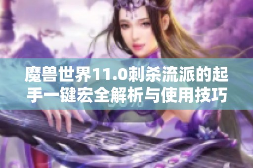 魔兽世界11.0刺杀流派的起手一键宏全解析与使用技巧