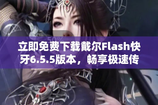 立即免费下载戴尔Flash快牙6.5.5版本，畅享极速传输体验