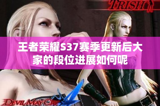 王者荣耀S37赛季更新后大家的段位进展如何呢