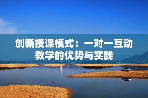 创新授课模式：一对一互动教学的优势与实践