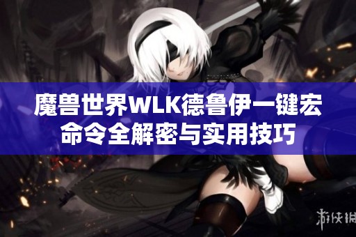 魔兽世界WLK德鲁伊一键宏命令全解密与实用技巧