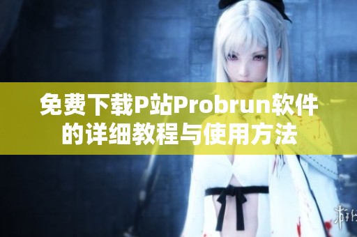 免费下载P站Probrun软件的详细教程与使用方法