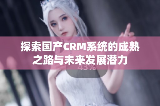 探索国产CRM系统的成熟之路与未来发展潜力