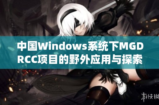 中国Windows系统下MGDRCC项目的野外应用与探索分析