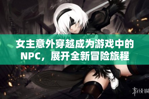 女主意外穿越成为游戏中的NPC，展开全新冒险旅程