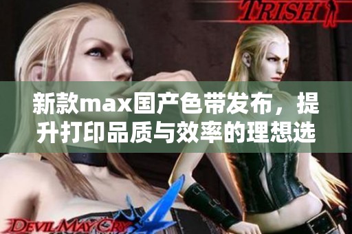 新款max国产色带发布，提升打印品质与效率的理想选择