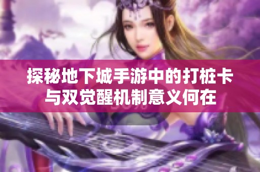 探秘地下城手游中的打桩卡与双觉醒机制意义何在