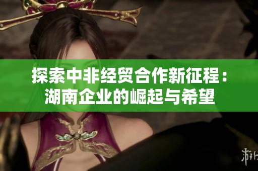 探索中非经贸合作新征程：湖南企业的崛起与希望