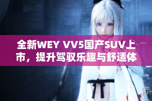 全新WEY VV5国产SUV上市，提升驾驭乐趣与舒适体验