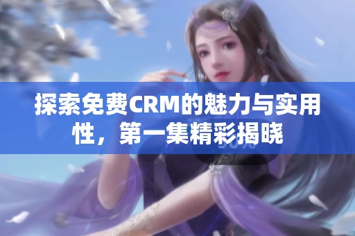 探索免费CRM的魅力与实用性，第一集精彩揭晓