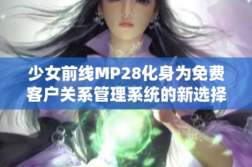 少女前线MP28化身为免费客户关系管理系统的新选择