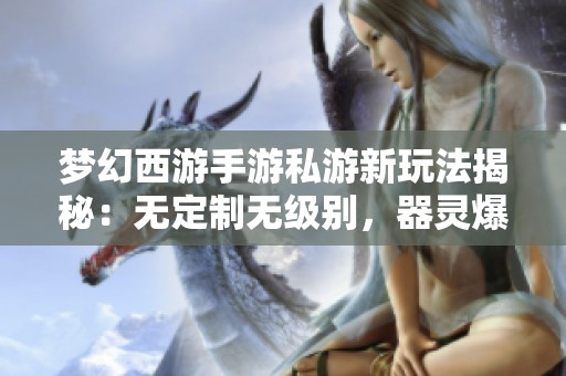 梦幻西游手游私游新玩法揭秘：无定制无级别，器灵爆发全新体验