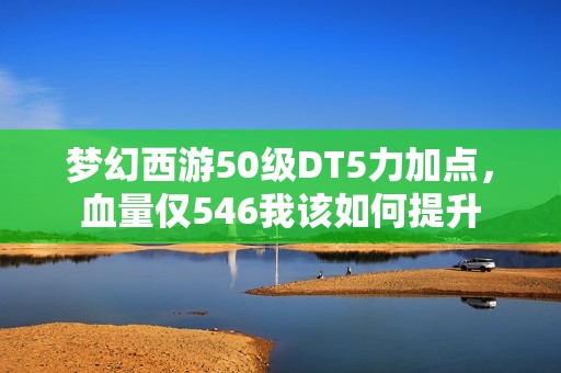 梦幻西游50级DT5力加点，血量仅546我该如何提升