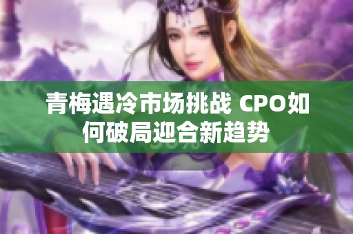 青梅遇冷市场挑战 CPO如何破局迎合新趋势